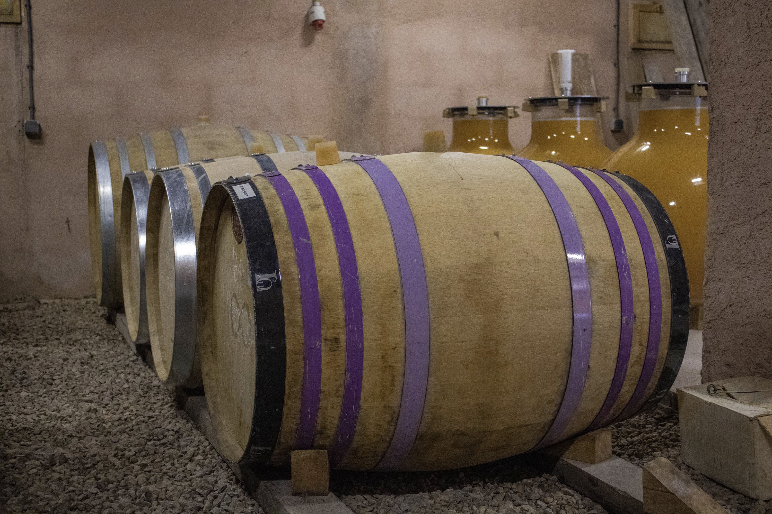 Wine barrels in the winery
